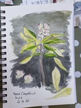 94116935_10215834983003398_6922817566901534720_o