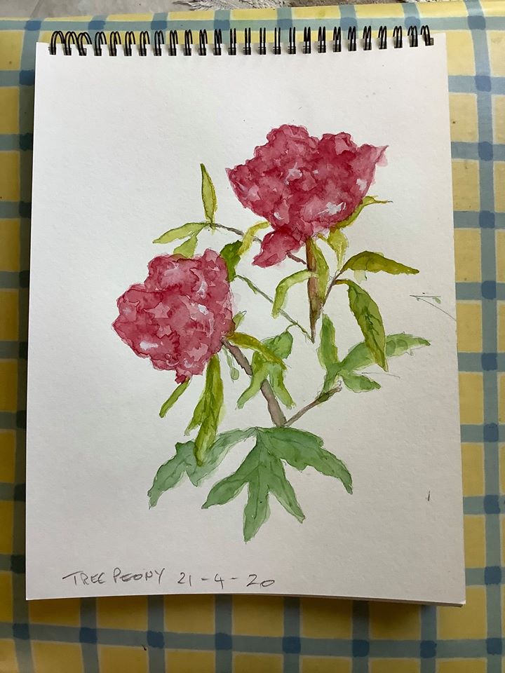 94390386_1085706401814451_1904498798101528576_o