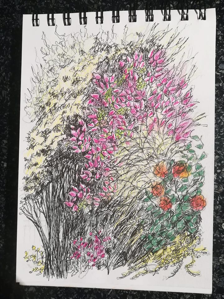 95621031_2657062394583087_4486741833489055744_o