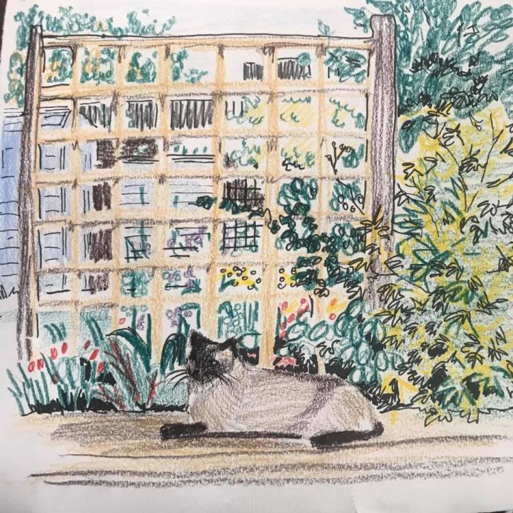 2C511BE8-F281-49F2-9B3E-C62624BEA737